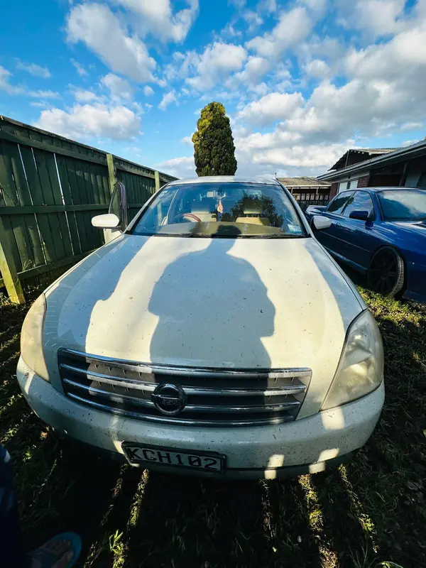 Silver Nissan Stagea parked on a lawn